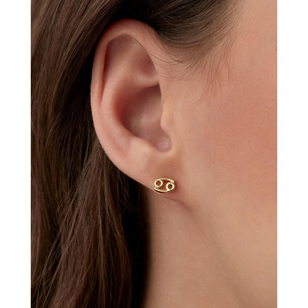14K Gold Plated Sterling Silver Zodiac Earring Studs Women Gift - Picture 2 of 6